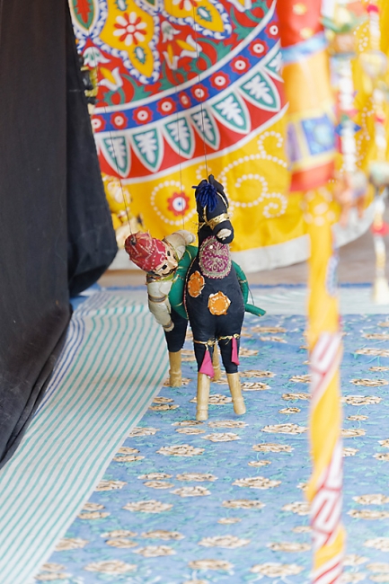 Keoladeo national park-166